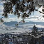 Blue Mountain Bed & Breakfast