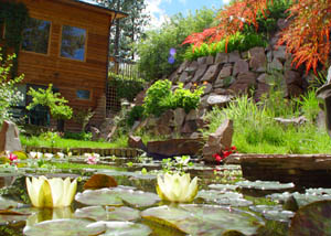 Blue Mountain Bed and Breakfast